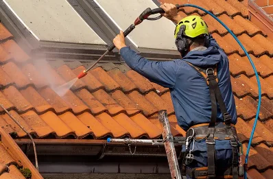 Démoussage et hydrofuge de toiture à la Favière